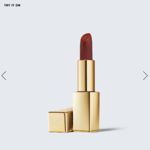 Rouges à lèvres  Matte Marque Estée Lauder - 806 No Concessions